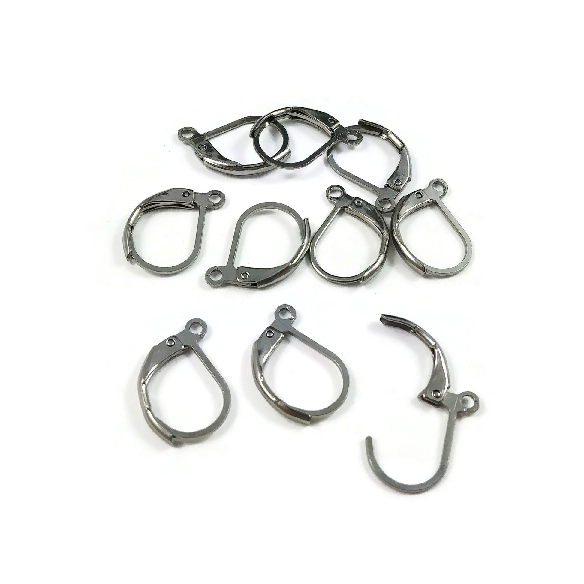 10 Stainless steel lever back earring hooks