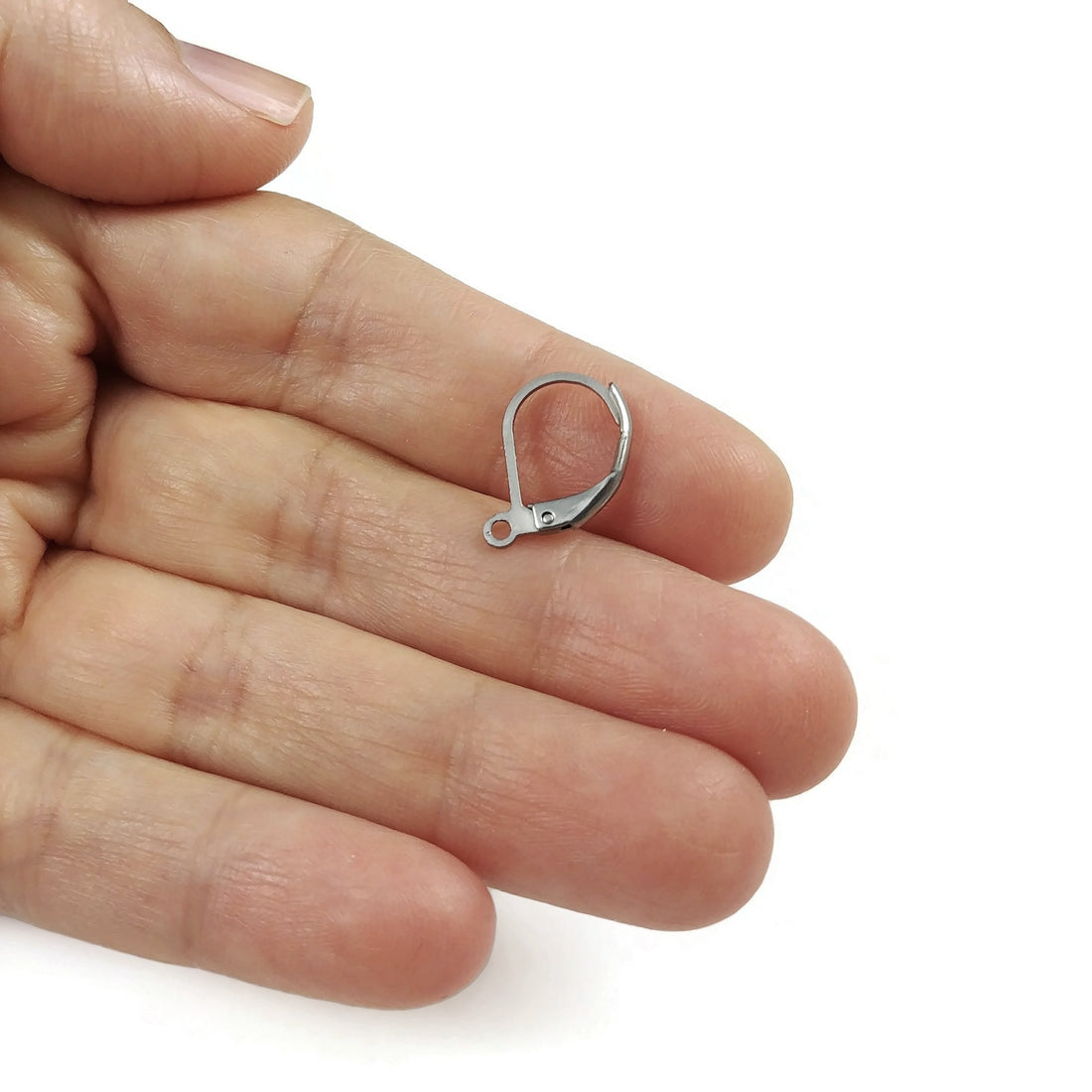 10 Stainless steel lever back earring hooks