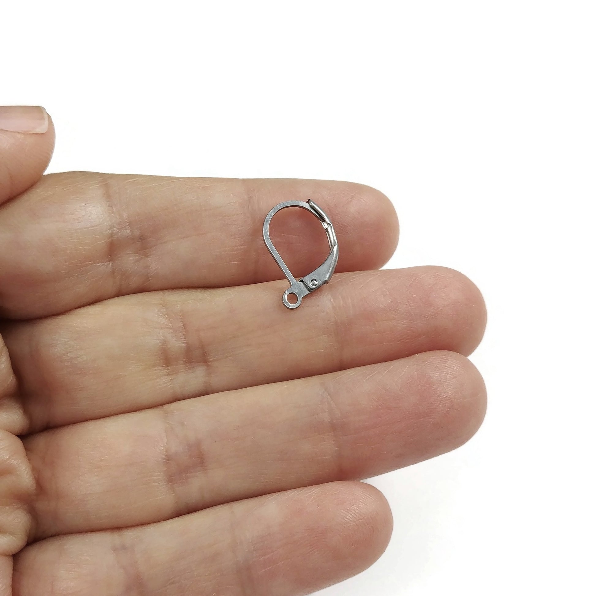 10 Stainless steel lever back earring hooks
