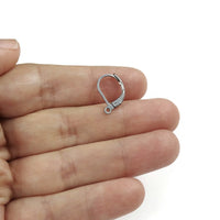 10 Stainless steel lever back earring hooks