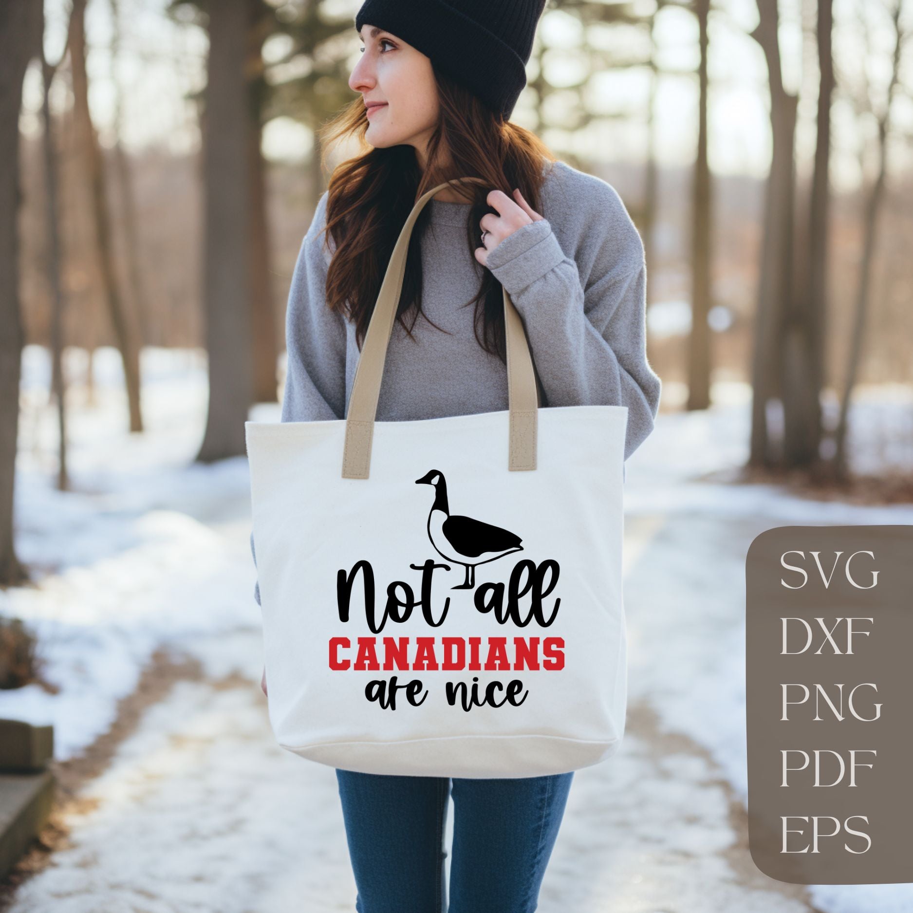 Not all canadians are nice