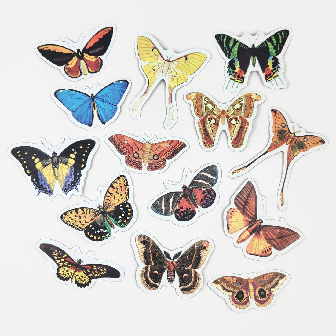 50 butterfly vinyl sticker pack