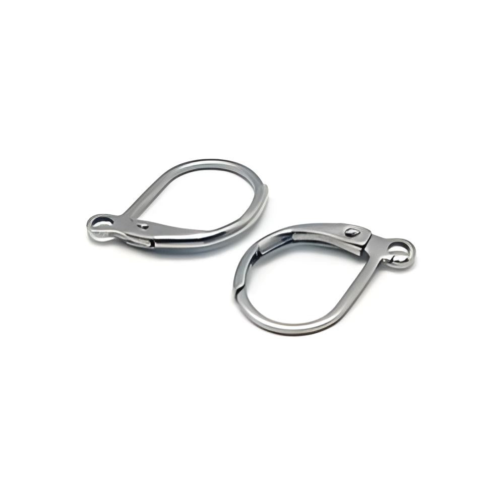 10 Stainless steel lever back earring hooks