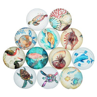 Trésors de la mer - Ensemble de 20 cabochons variés de 10, 12 ou 14mm