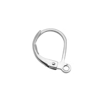 10 Stainless steel lever back earring hooks