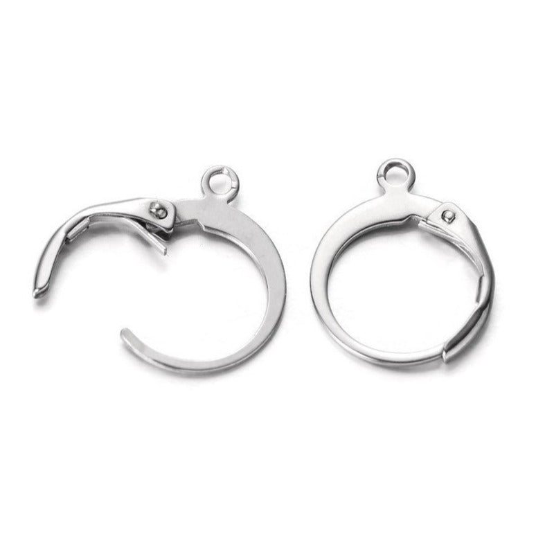 10pcs (5 pairs) Stainless Round Lever Back Hoop earring hooks, Hypoallergenic