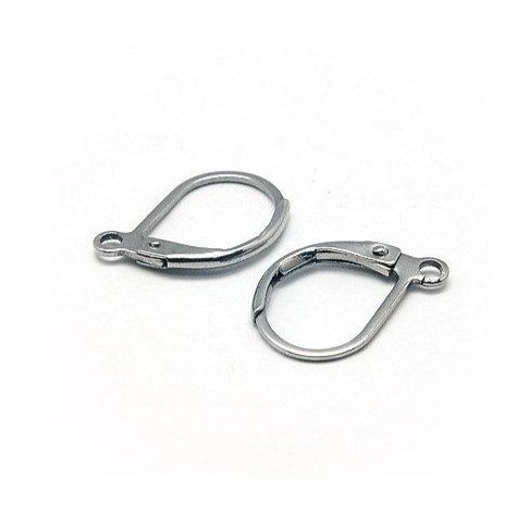 10 Stainless steel lever back earring hooks