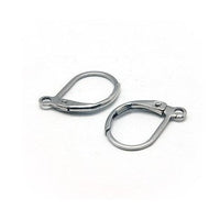 10 Stainless steel lever back earring hooks