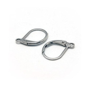 10 Stainless steel lever back earring hooks